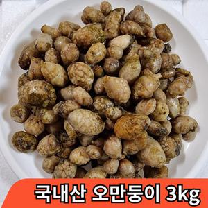 청년고집 국내산 오만둥이 3kg