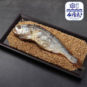 [씨토랑]법성포 부세보리굴비 대 5미/27∼29cm