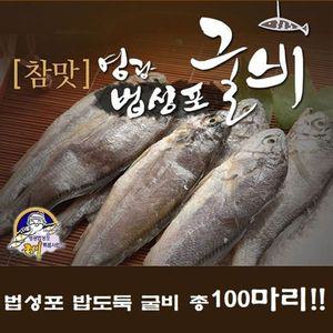 [NS홈쇼핑]영광 법성포 굴비 100미 (20미 5팩)[34872939]