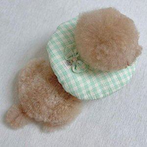 [셀러허브 패션][JHQS7Y84_52CM]고양이 중성화 목보호대 쿠션 넥카라