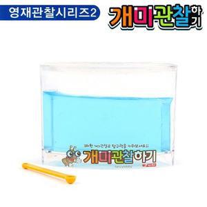 [MEKL2QO4_52GP]자연학습 팬시개미 관찰하기 (소) (블루)