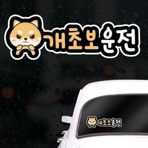 캐릭터 초보운전스티커 아이가타고있어요 개초보운전