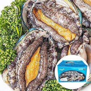 [웰굿][웰굿] 완도직송 명품 활 전복 선물세트 1kg(6-7미,왕특대)