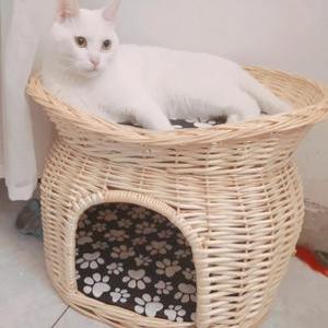 라탄 강아지집 숨숨집 고양이집