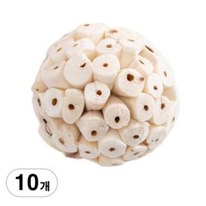 BenF Home 솔라볼 6cm 10개 앵무새 장난감 놀이 용품 이갈이 입질 뜯뜯 쏠라볼 BAA070404