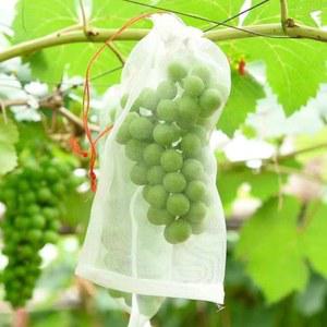 과수봉지 과일포장재 봉투 방충 벌레 포도포장지 반투명 비닐 25x34cm반투명썬백100개