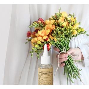 플레오맥스 자동분사 방향제 리필용 향수 100ml 블랙체리1개