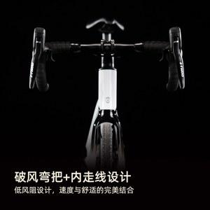 알루미늄 바이크 레이싱 유압식 유압브레이크 클린처 배달용 전기자전거 RALEIGH