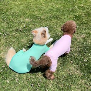 파스텔 강아지쿨링올인원 여름 자외선차단 강아지옷 7color