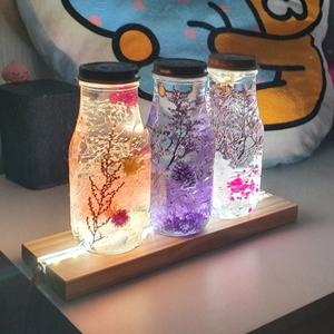 원목 LED 12v 무드등 받침대 디퓨져 하바리움 51CM