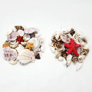 조개 소라 껍데기 모음/DIY 소품 어항 피규어 젤캔들 꾸미기/여름 바다 인테리어용품
