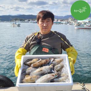 [최고다농수산]원양산 냉동오징어 대 1kg내외 (3~5미)