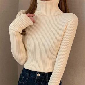 골지 목폴라 티셔츠 슬림핏 베이직 디자인 데일리패션