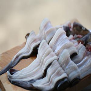 통영 손질바다장어(생물) 1KG (소스2)