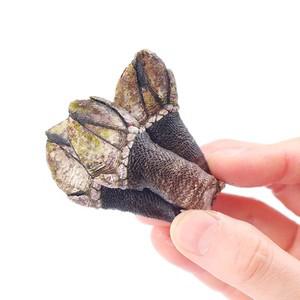 [숨비해물] 거북손 500g 1kg