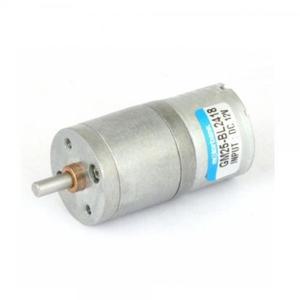 [KGPP718Q_4B]GM25-BL2418 DC12V (감속비1/171) (M1000014