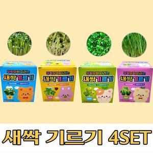 [BZJL8HD8_4C]새싹기르기 새싹키우기 4