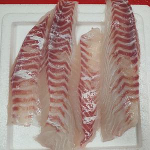 횟감용 참 돔 필렛 350g 생물 참 돔 회 필렛 참 도미 필렛 도미 회 주문 손질도미 생물도미 생선회 집에서