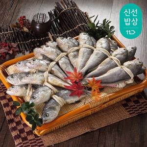 [품질보장] 영광 법성포 참조기 굴비 장대 2.0kg(20마리) 선물포장