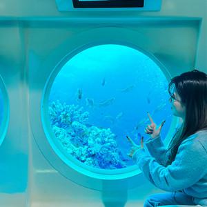|제주| 해저와인과 함께하는 우도잠수함 (가볼만한곳/관광/제주투어/자유여행/가족/친구/연인/아이와함께/테마파크/이색체험/브이패스/해양레저/액티비티/바다)