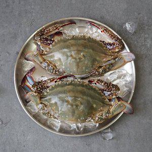 국내산 봄 제철 생물 암꽃게 2kg(8-12미)