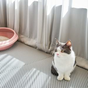 카라즈펫 볼록이 모래매트 대형 고양이 사막화 방지 매트