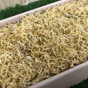 국산 햇 뱅어포 10장 / 고추장 볶음 조림 반찬 안주 용 건 마른 말린 국내산 실치 포 멸치 건어물