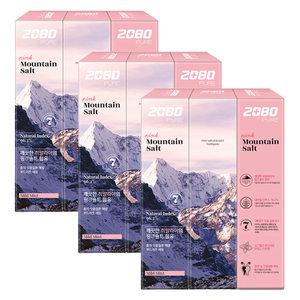 2080 퓨어솔트 치약 핑크, 120g, 3입, 3개