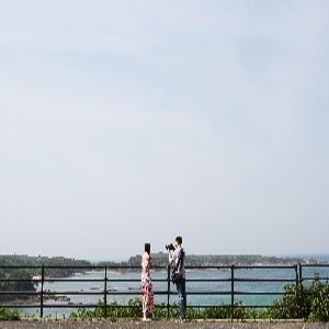 대마도 1일1일 #니나호 #당일치기 #가성비 추천