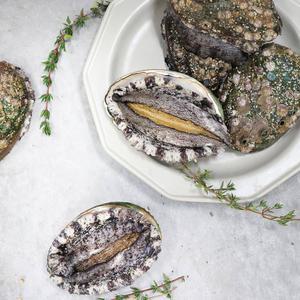 활전복 선물세트 6-7미 1kg 산소포장
