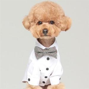 스트릿패션 강아지 애견 드레스 셔츠 웨딩 젠틀 깔끔 외출 화이트