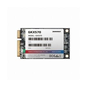 타무즈 GKX570 mSATA 벌크 (512GB)
