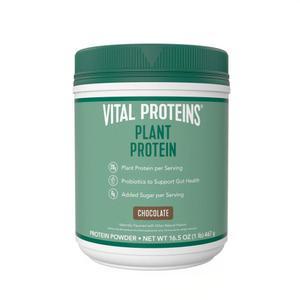 Vital Proteins 비건 단백질 파우더 - 병아리콩이 함유된 식물 기반 단백질 20g - 장 건강을 위한 1B CFU