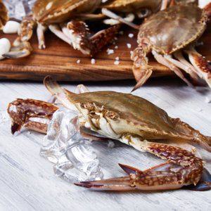 알이 꽉찬 서해안 활 암꽃게 3kg(9-15미)