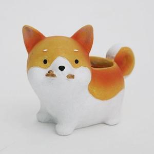 [JH20O9RT_52CX]미니화분(A type) 다육이 선인장 식물