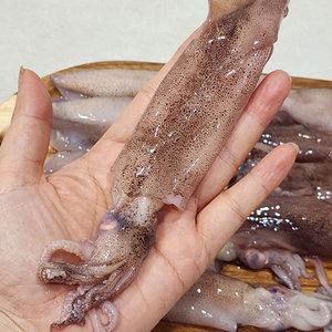 원양산 급냉 한치 500g 9-15미 냉동한치 통한치 통찜용한치 초코한치 화살오징어 창 오징어 한치 꼴뚜기 야