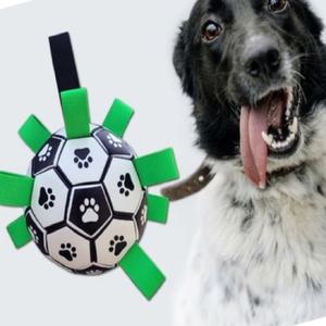 라타 터그 축구공 공기펌프 포함 강아지장난감공 강아지볼 애견공