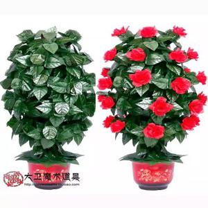 가렌더 피어나는 Rose 꽃마술 환상 배터리 Blooming 어피어링로즈 화분 정신