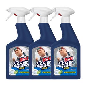 홈스타 맥스프레쉬 욕실용세정제 900ml 3개