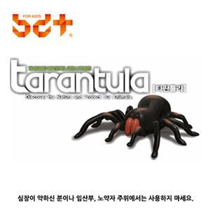 무선 조정완구 타란튤라RC 어린이집완구 선물 남아선물 알씨