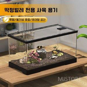 달팽이키우기 세트 달팽이집 사육장 거실 색상 달팽이 포맥스 사슴벌레 키우기 소형 야자수