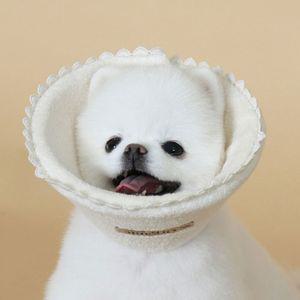 오가닉 넥카라S강아지 고양이 애견 목쿠션 중성화 보호대 카라 용품 도넛방석