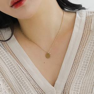 [핑크선물포장 쇼핑백] Phoenix Surgical Steel Necklace / 서지컬(써지컬) 목걸이