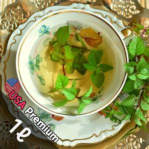 A008 페퍼민트 티트리 1L (Peppermint Tea Tree) 프래그런스오일  캔들 디퓨저 향수