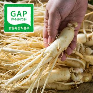 인삼 800g+덤200g 5년근 6년근 금산 세척인삼
