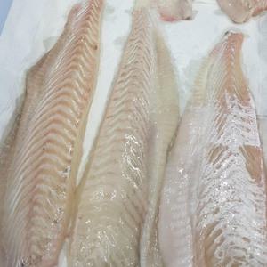 쫄깃쫄깃 필렛 광어회 연안 대광어회 2kg 순살 200g (푸드)