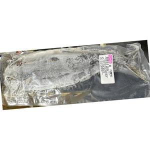 삼치 냉동 특대 500g