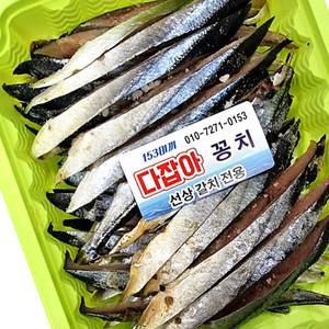 선상 갈치 낚시 염장 꽁치 미끼