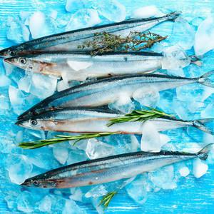 냉동 꽁치 10마리(1kg) 1팩(8~13마리) 1kg
