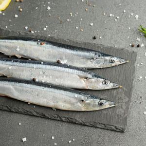 꽁치 1kg (8-11미)